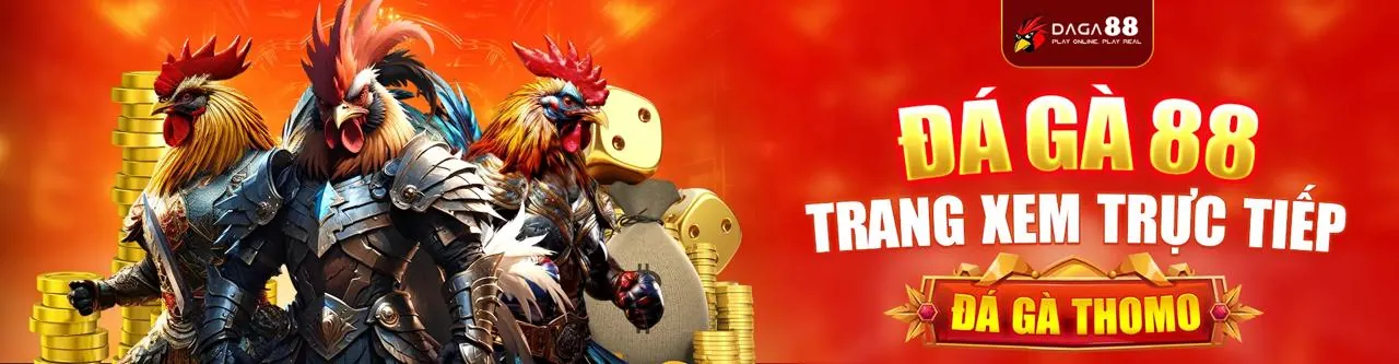 Đá Gà S8bet Trực Tuyến Hấp Dẫn