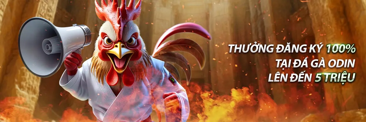 Đá gà trực tuyến F8BET với không khí sôi động