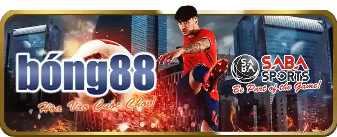Đá Gà Thomo Trực Tiếp S8bet